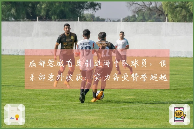 成都蓉城首度引进海牛队球员，俱乐部意外收获，实力备受赞誉超越比卡隆