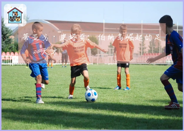 蒂亚戈·皮塔奇：伯纳乌崛起的足球天才